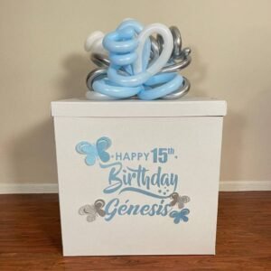 Big Balloon Bow Box 2