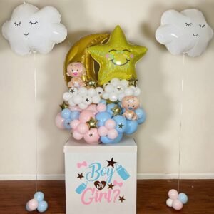 Gender Reveal Box 4